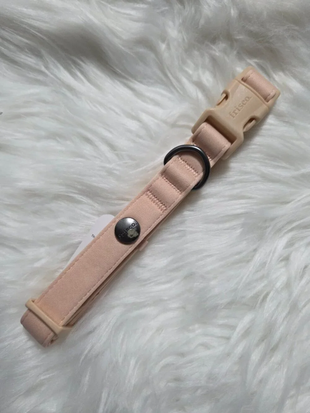 Frisco Monochromatic Pale Pink Dog Collar
